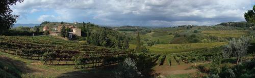 Toscana, Vigneti (Autore Tango7174)