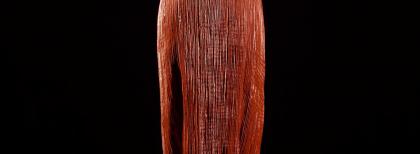 Mariano Fortuny, abito Delphos rosso, 1910 circa. Fonte: Museo Fortuny