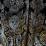Maria Monaci Gallenga