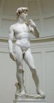 Il "David" di Michelangelo, 1501-04